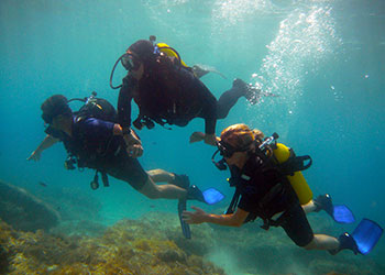 The sponge divers - Dive Center Kos Island